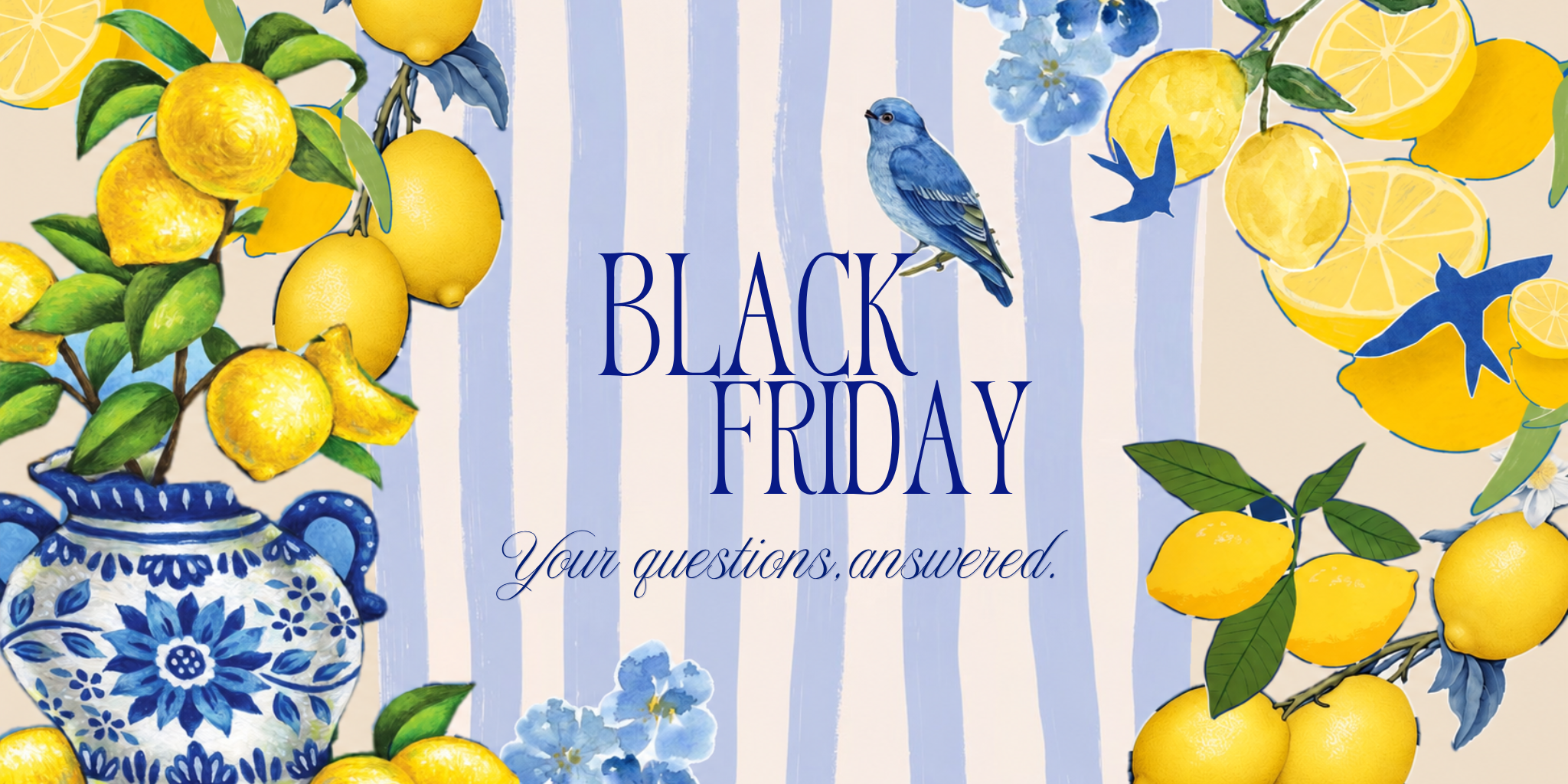 Black Friday, your questions answered